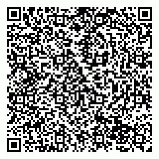vCard 79138046207