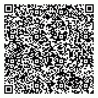 vCard 79138046294