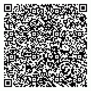 vCard 79138046303