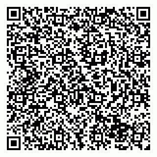 vCard 79138046331