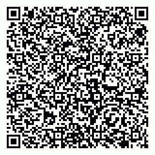 vCard 79138047005