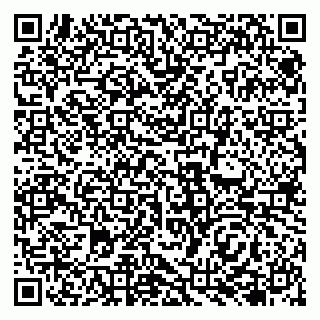 vCard 79138047294