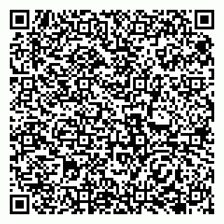 vCard 79138047331
