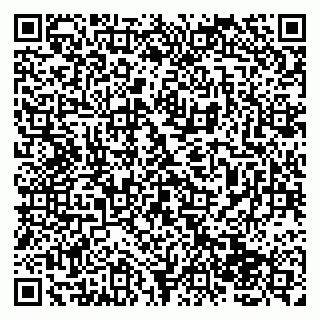 vCard 79138047351