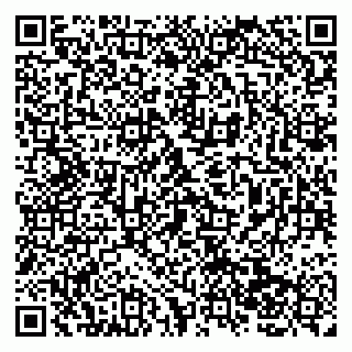 vCard 79138047423