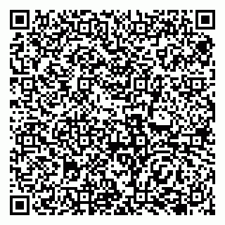 vCard 79138048005