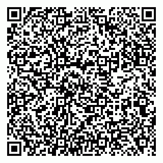 vCard 79138048303