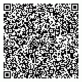 vCard 79138048321