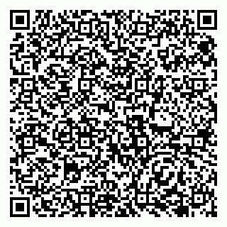 vCard 79138048331