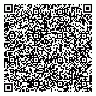 vCard 79138050003