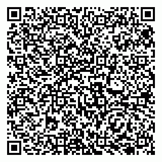 vCard 79138050335