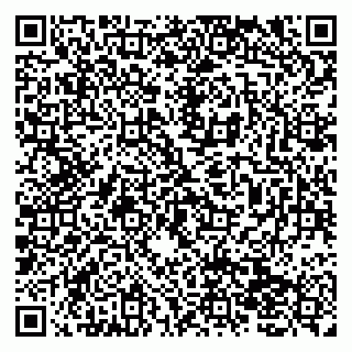 vCard 79138051024