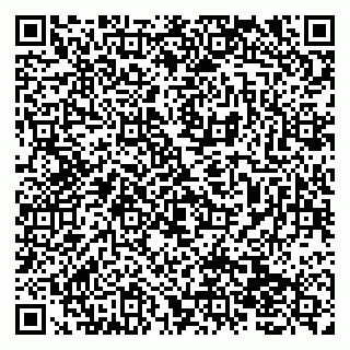vCard 79138051041