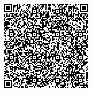 vCard 79138051968