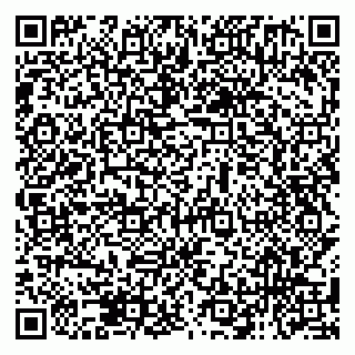 vCard 79138051981
