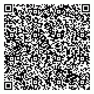 vCard 79138052131