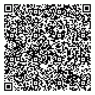 vCard 79138053293