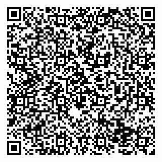 vCard 79138053370