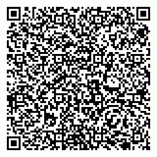 vCard 79138055005
