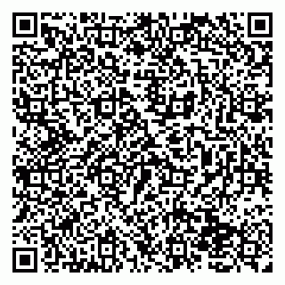 vCard 79138058321