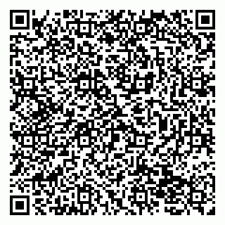 vCard 79138059005