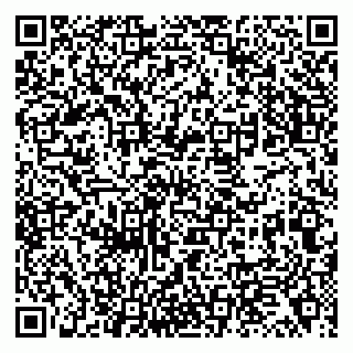 vCard 79138059331