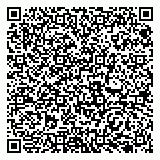 vCard 79138059623