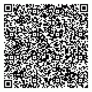 vCard 79138059633