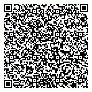 vCard 79138059637