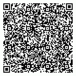 vCard 79138059697