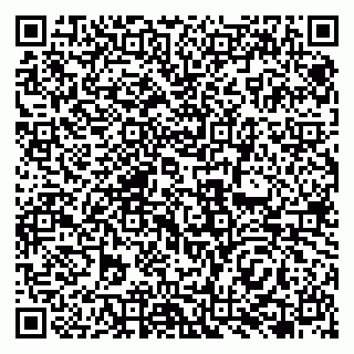 vCard 79138060294
