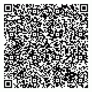 vCard 79138060315