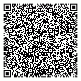 vCard 79138060331