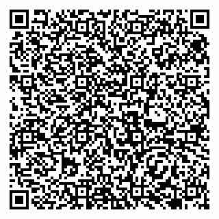 vCard 79138060335