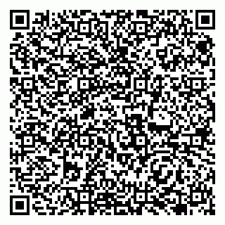 vCard 79138061237