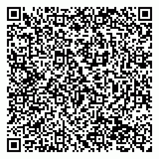 vCard 79138062005
