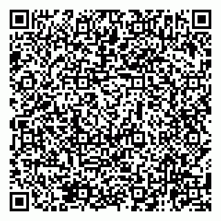 vCard 79138063083