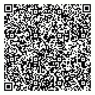 vCard 79138064021