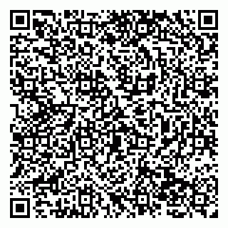 vCard 79138064483