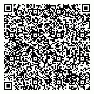 vCard 79138065294