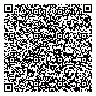 vCard 79138065327