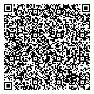 vCard 79138065331