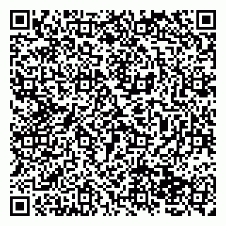 vCard 79138065335
