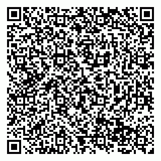 vCard 79138065603
