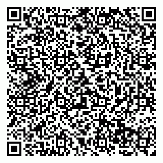 vCard 79138065633