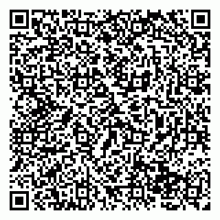 vCard 79138065713