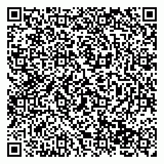 vCard 79138065785