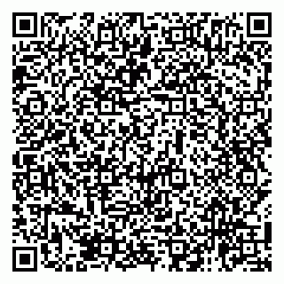 vCard 79138065905