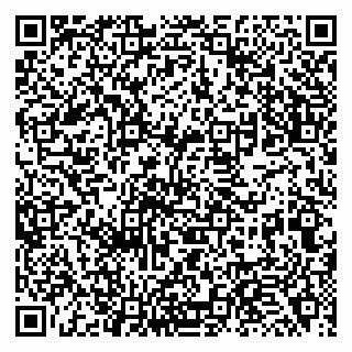 vCard 79138067331