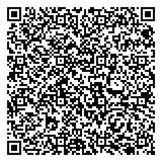 vCard 79138255693